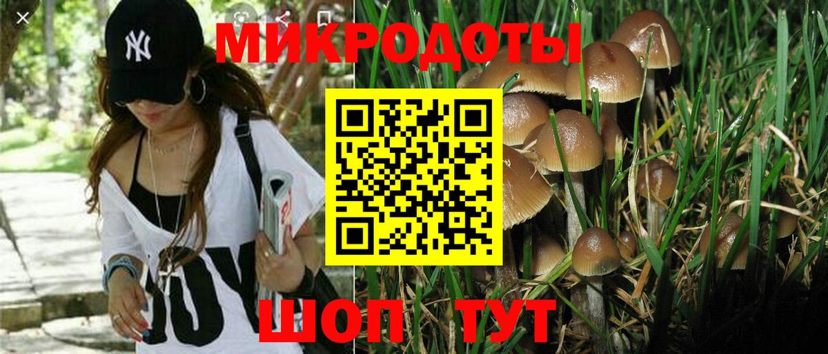 Псилоцибиновые грибы Magic Shrooms Артёмовский